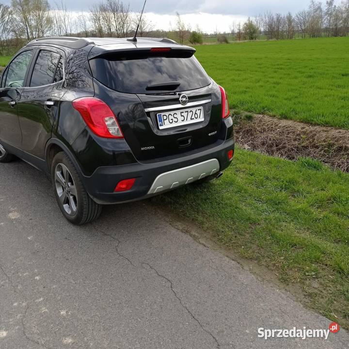 OPEL MOKKA 17CDTI wielkopolskie Borek Wielkopolski