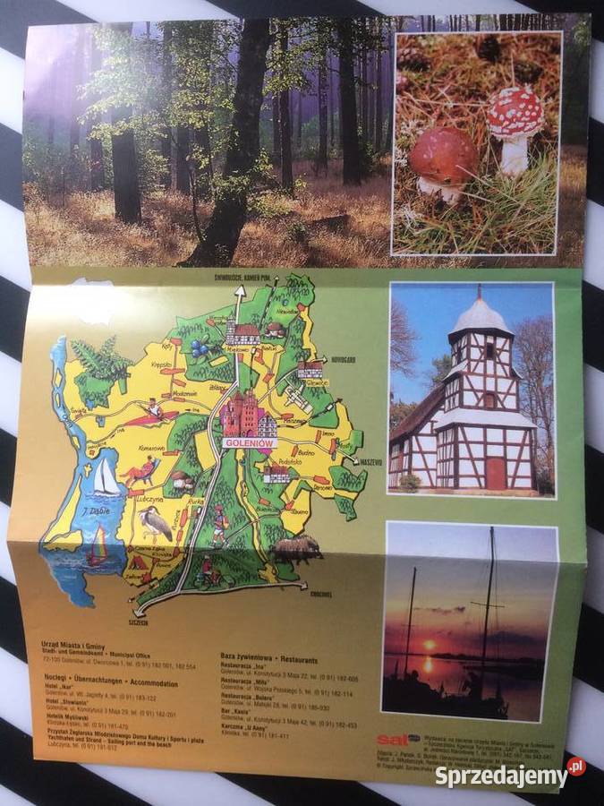 3572 Goleniów Antyki, Sztuka, Kolekcje Szczecin