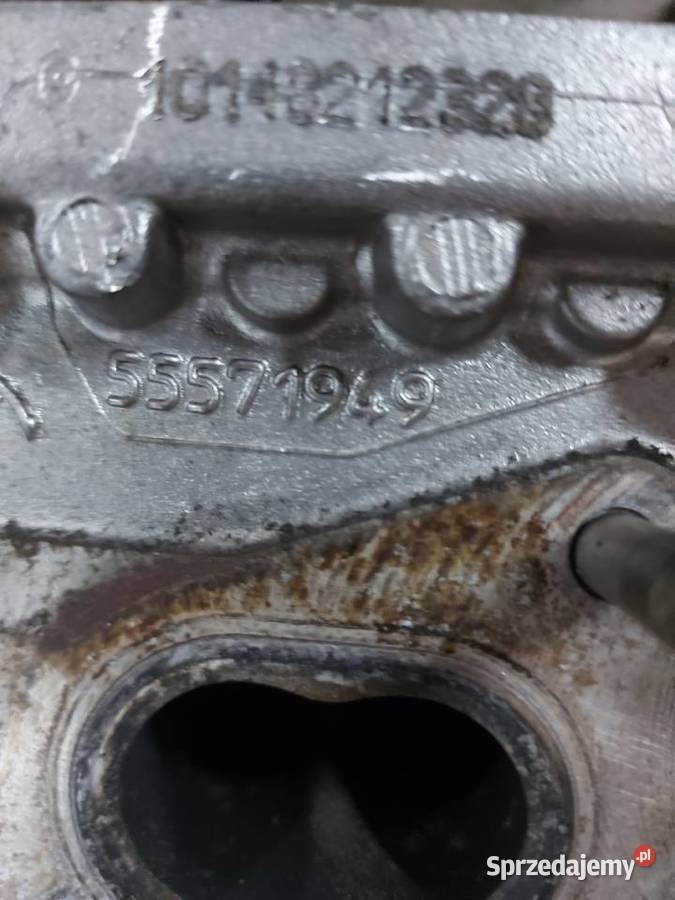 INSIGNIA ASTRA ZAFIRA 20 CDTI głowica 55571949 świętokrzyskie