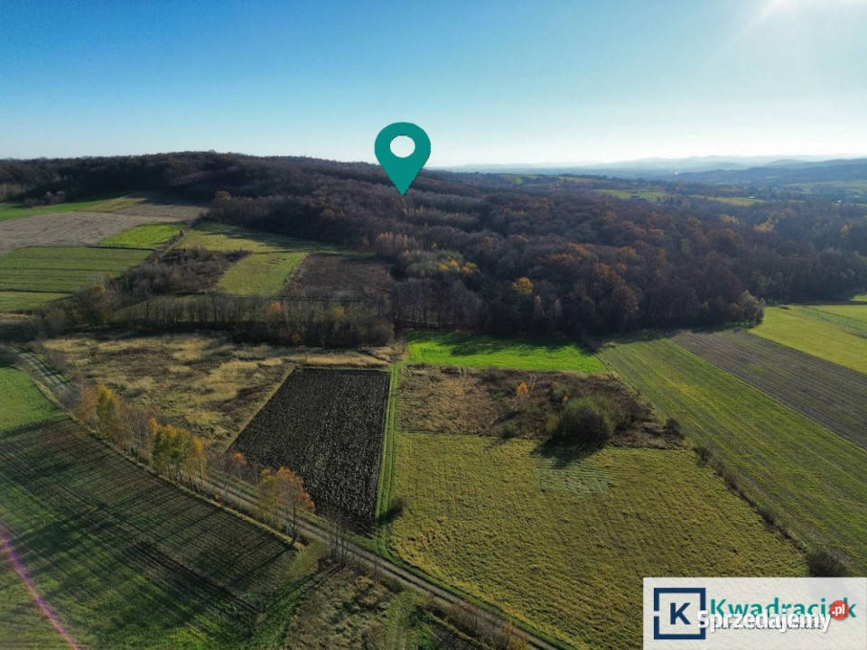 Ogłoszenie grunt Podniebyle 6100m2 Sprzedaż podkarpackie