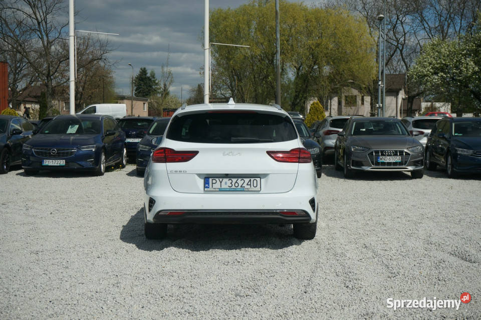 Kia Ceed 15 TGDI 160 Business Line Salon Polska tempomat Kia wielkopolskie Poznań