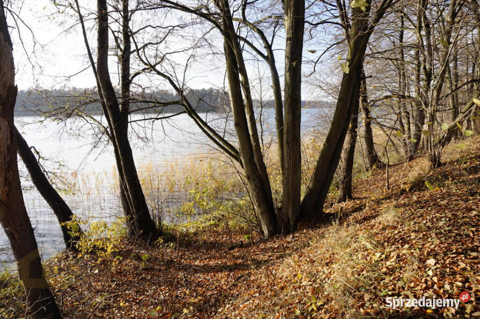 Działka z linią brzegową jeziora Ruś Mała