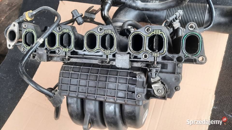Kolektor ssący opel Zafira b 22 16V direct Dębno