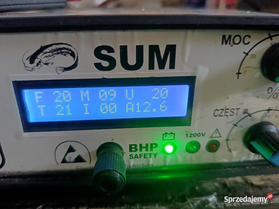 Wędka elektryczna sum Pyrzyce