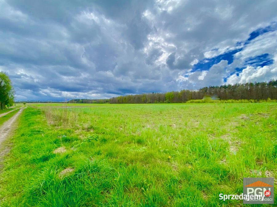 sprzedaży działki Gryfice 1505m2 budowlana