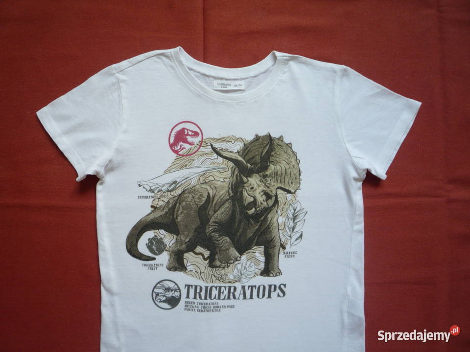 Sinsay 122 Biała koszulka Dinozaur Triceraratops chłopiec Odzież Szczecin