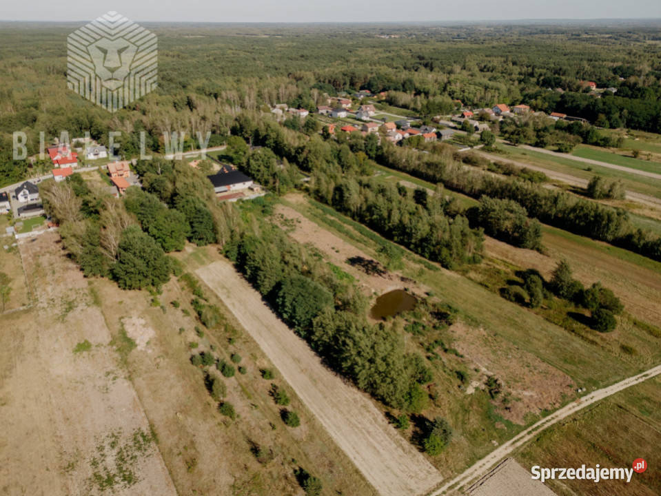 Działka 5200m2 Mucharzew Sprzedaż świętokrzyskie