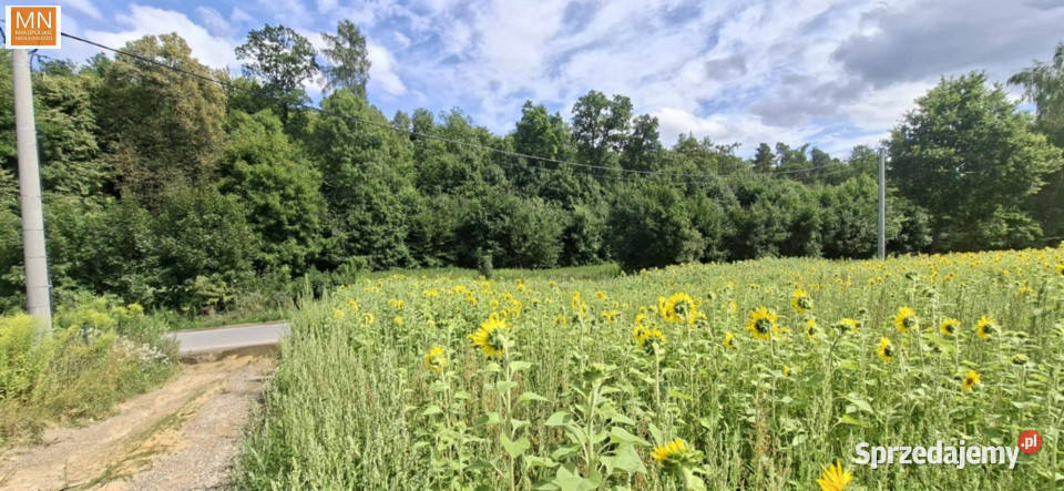 Grunt na sprzedaż Łuczyce Pod Lasem 698m2 22m