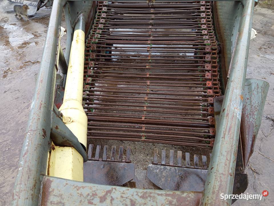 Kopaczka elewatorowa do ziemniaków Szynkielów