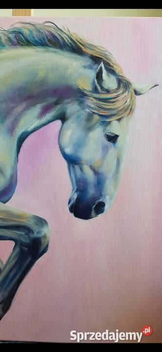 Obraz farbami olejnymi Koń 60x60 mazowieckie Warszawa