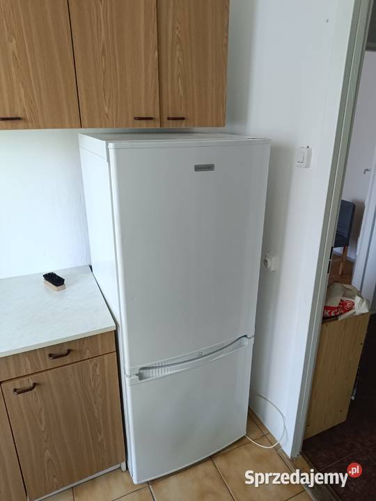 Lodówko zamrażarka Polar 150 60cm Dom i Ogród Zamość