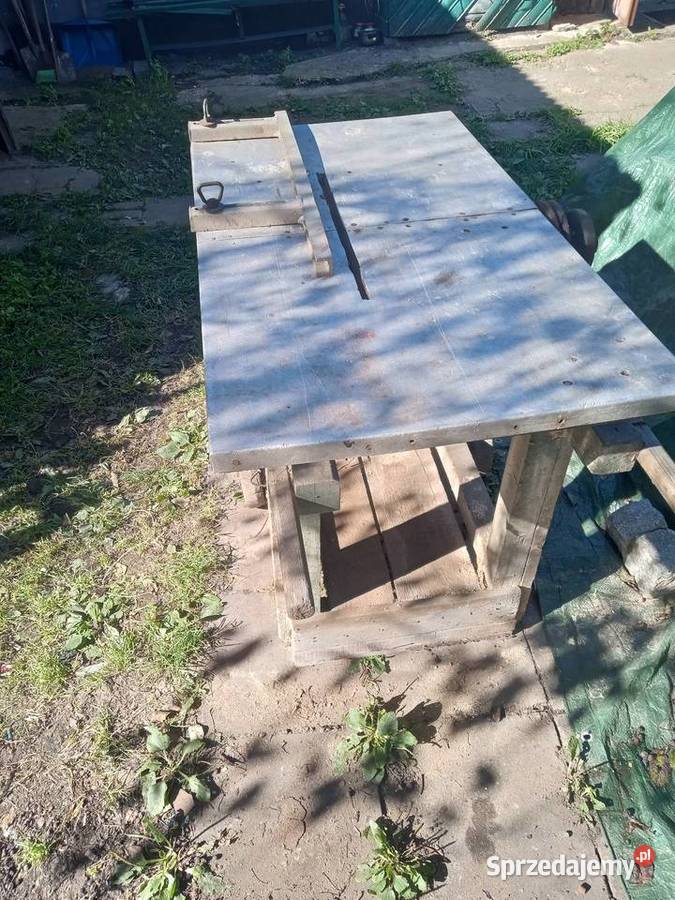 Krajzega pila stołowa Gdańsk