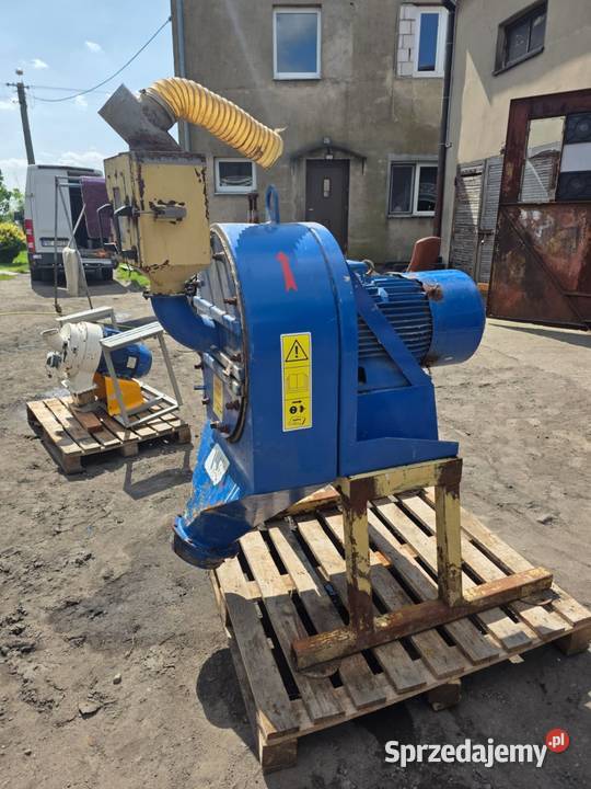 Szrutownik bijakowy 32 kw Michorzewo sprzedam