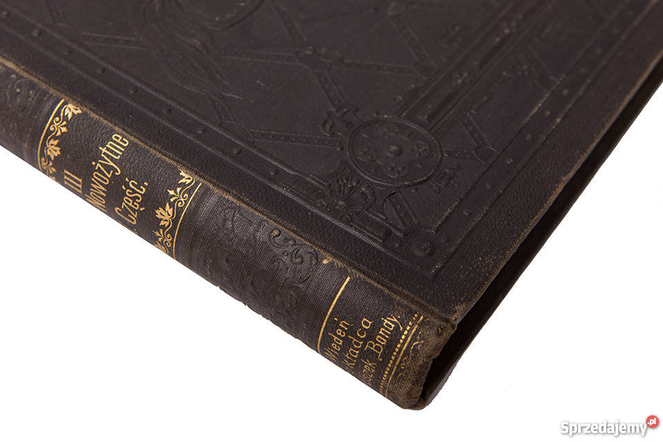 Dzieje Powszechne Ilustrowane Czasy nowożytne Poznań