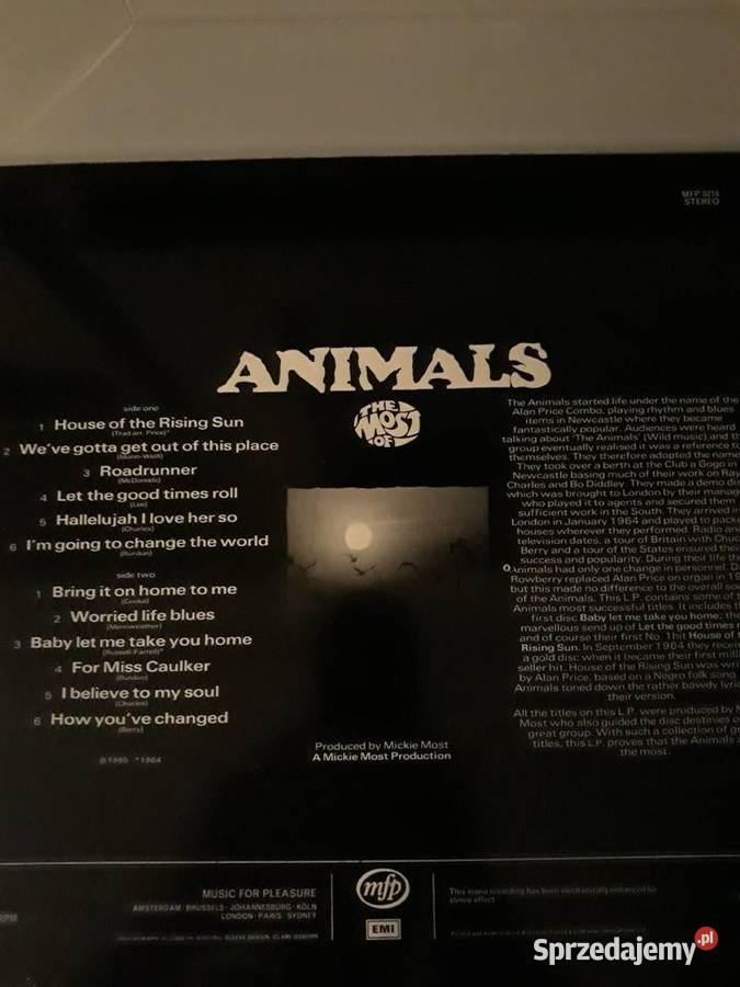 The ANIMALS The Most Kolekcjonerskie Rzeszów