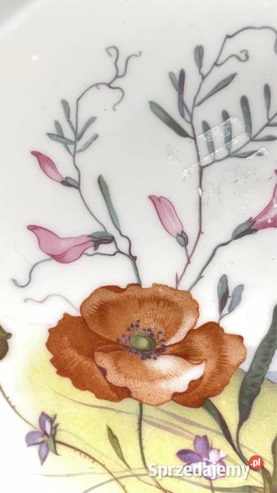 8 sztuk Talerzy do zupy Rosenthal Syg z 1944 r W pomorskie