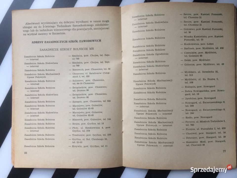 3673 Informator O Szkolnictwie Zawodowym Antyki, Sztuka, Kolekcje Szczecin