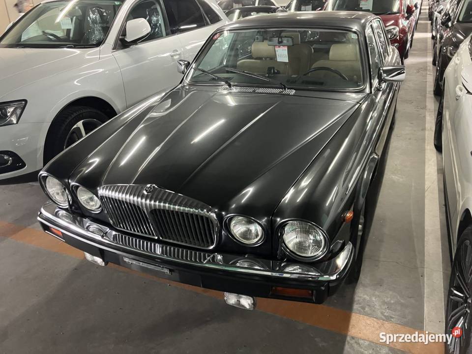 Daimler Double Six V12 Głusk