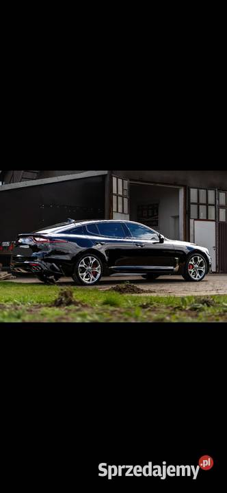 Kia stinger gt 3342cm3 Łapy