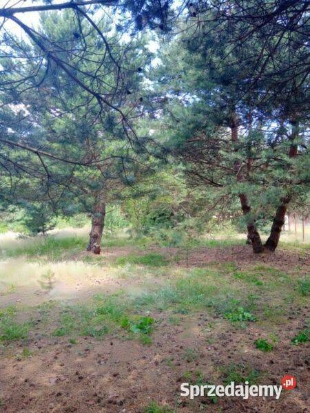 Na sprzedaż działka budowlana o powierzchni 2008 Cieszanowice