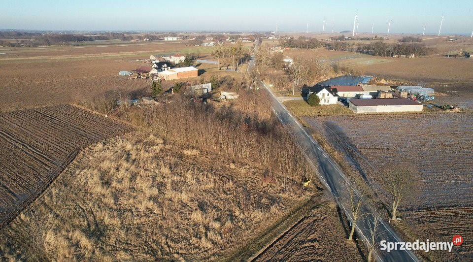 Ogłoszenie działka 5390m2 Raczków