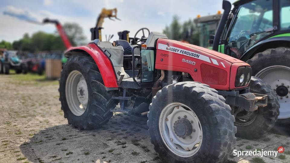 Massey Ferguson 5460 115 tunelowy sadownik podkarpackie Zaklików sprzedam