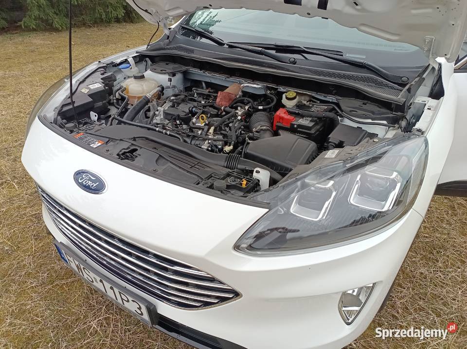 Ford Escape Kuga 2022r 69999 Rok produkcji 2022 Wschowa sprzedam