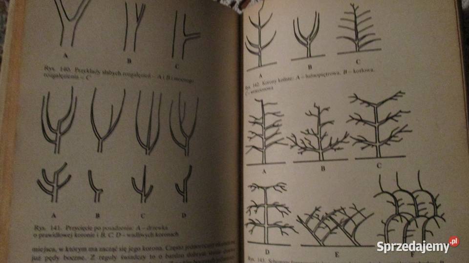 Działka moje hobby działka ogrodnictwo ogród Łódź