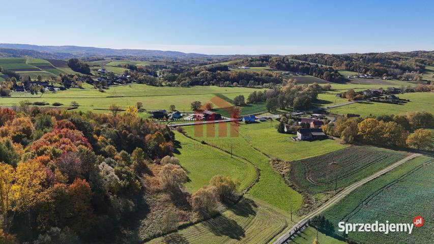 Działka Wielopole Skrzyńskie 1000m2 asfalt