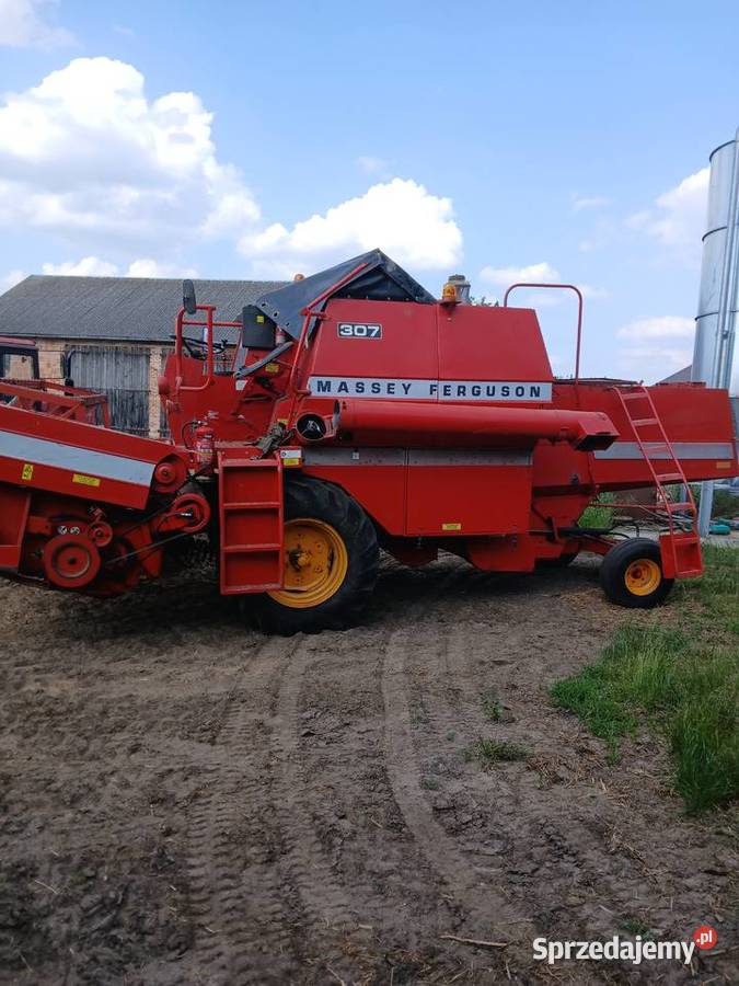 Massey Ferguson 307 nieuszkodzony wielkopolskie Czajków