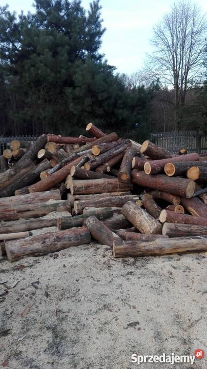 Drewno opałowe sosna Lędziny