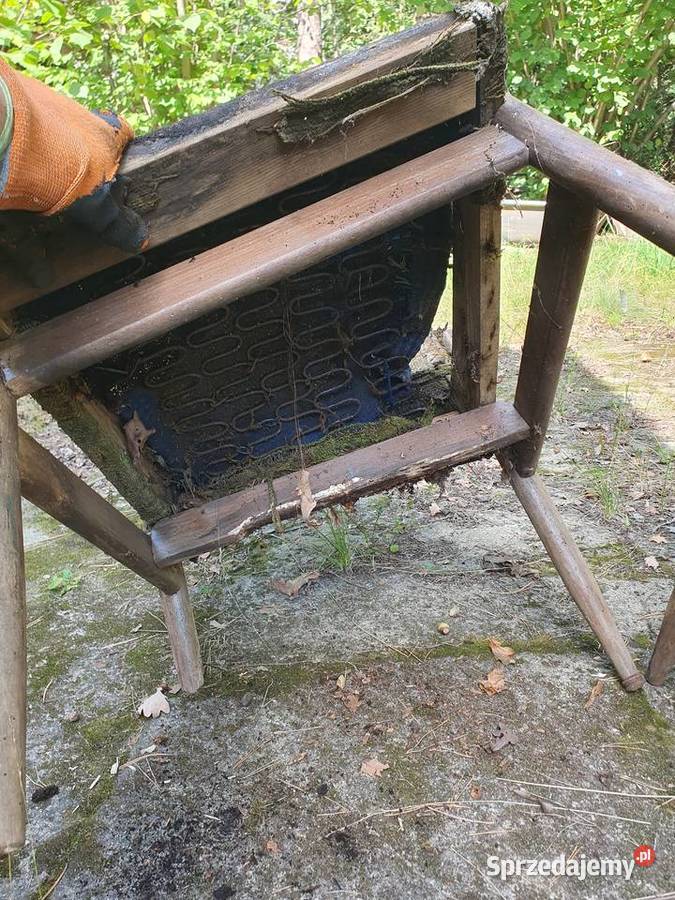 Fotele Celia typ 300227 Krzesła stare antyki