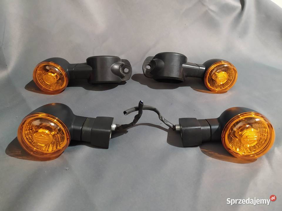 HARLEY HD NERKA NARZĘDZIÓWKA SASZETKA 250 OEM Luboszyce