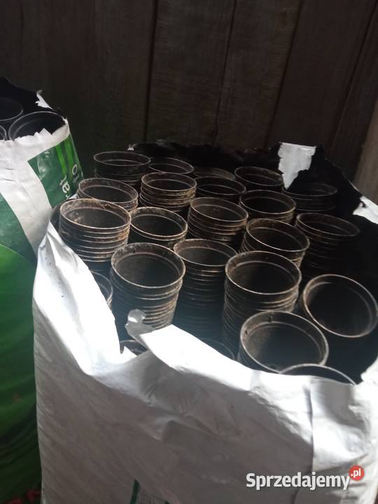 Doniczki na rozsadę sadzonki kwiatki małopolskie Wawrzeńczyce