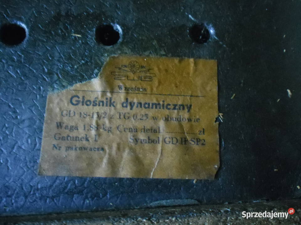 Głośnik dynamiczny Września Zwoleń