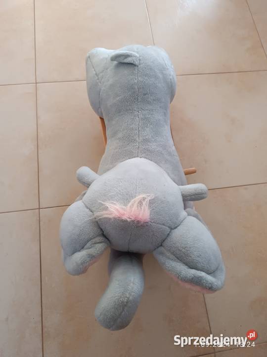 Słonik bujany Lublin