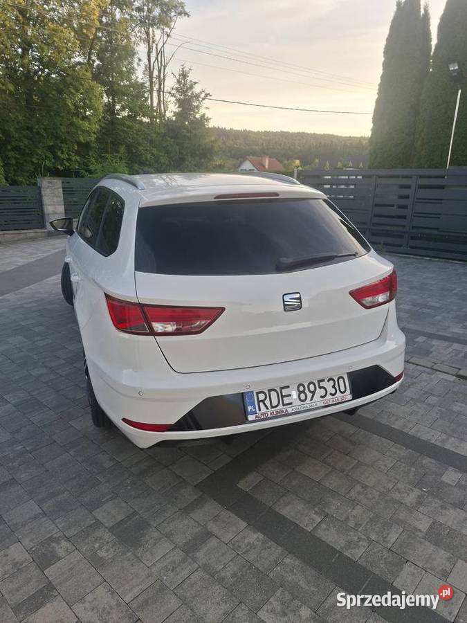 Seat Leon Zwiernik