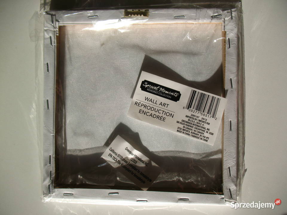 Obraz 20x 20 NOWY biały Olsztyn sprzedam