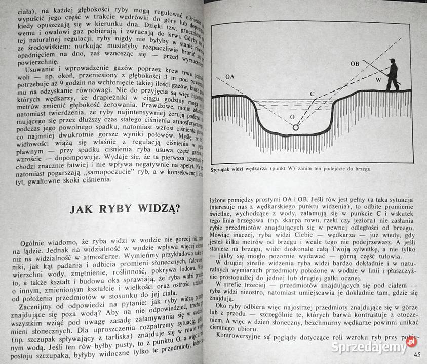 Spinning Andrzej Skarżyński Chełm