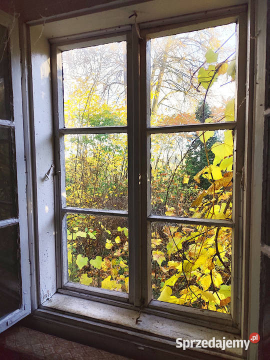 Sprzedam siedlisko w gminie Garbów lubelskie