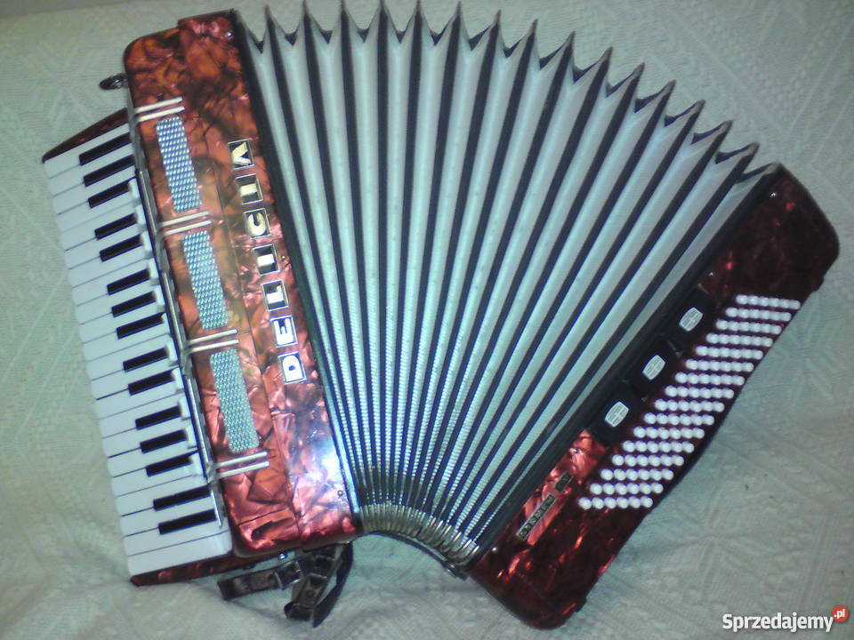Akordeon Delicia lubelskie Nieledew sprzedam