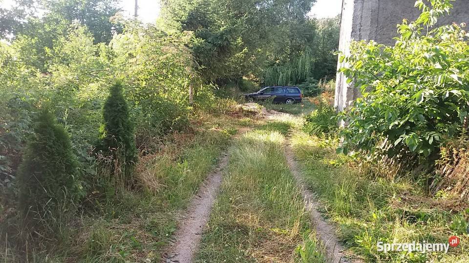 Dom z polem i lasem do remontu Czaple