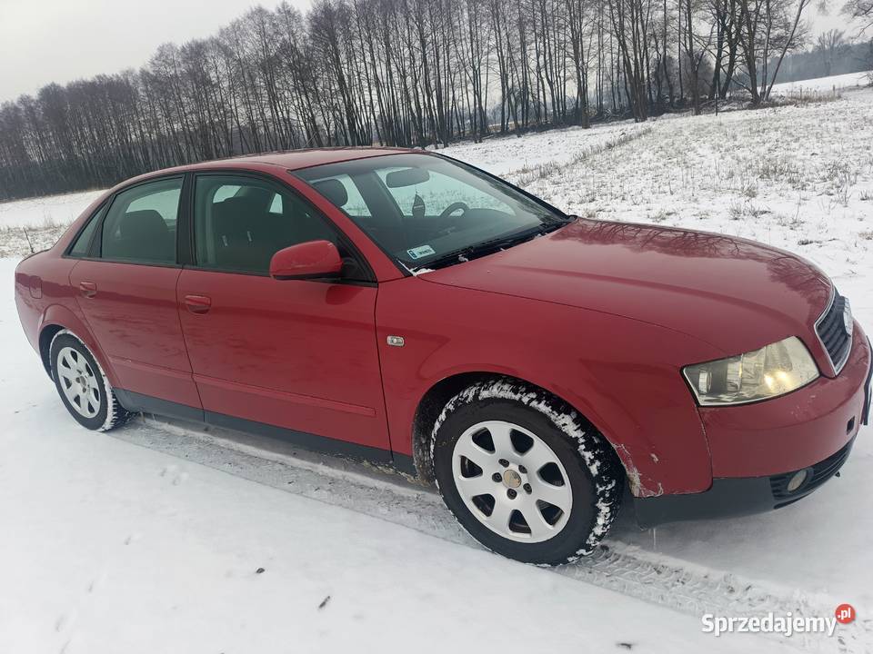 Audi A4 B6 20 ALT 130 2001r do poprawek Orzechów