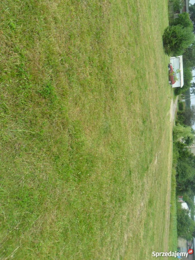 Działki budowlane Sikorzyno