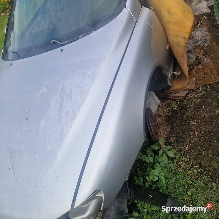 Peugeot 406 Coupe Błotnik prawy i lewy przód Sieradz sprzedam