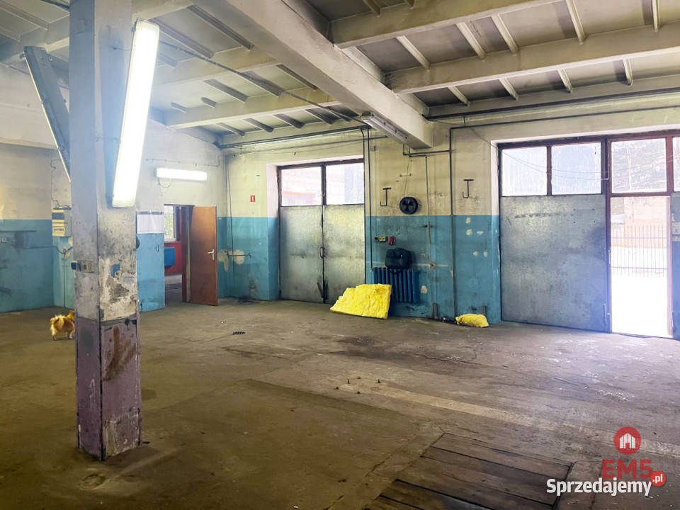 Lokal do wynajęcia 270m2 Białystok Wynajem sprzedam