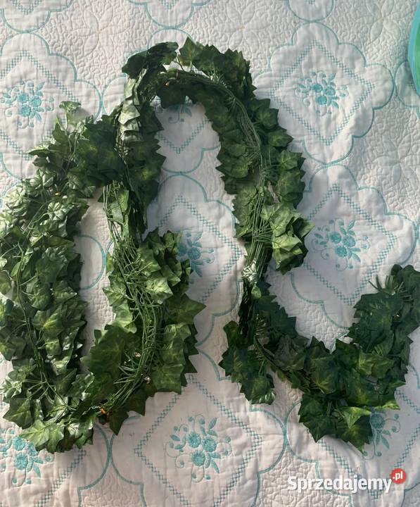 Sztuczny bluszcz 50 m na ścianę balkon taras wielkopolskie Poznań