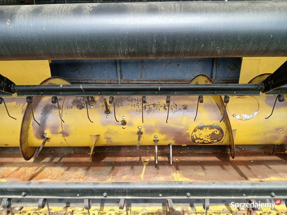 Heder Holland małopolskie Charsznica sprzedam