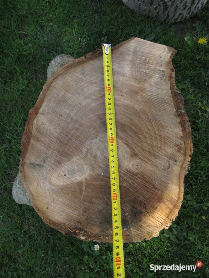 Pień orzecha włoskiego średnica 37 Rolnictwo Wieliczka