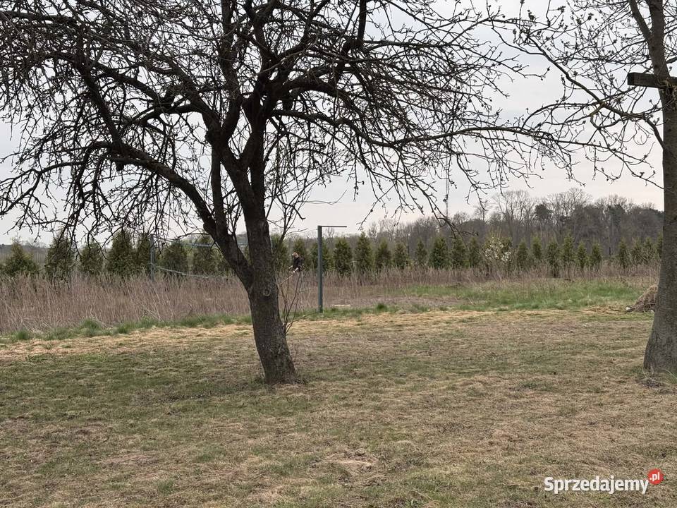 Koszenie trawników i utrzymanie terenów mazowieckie Kotuń